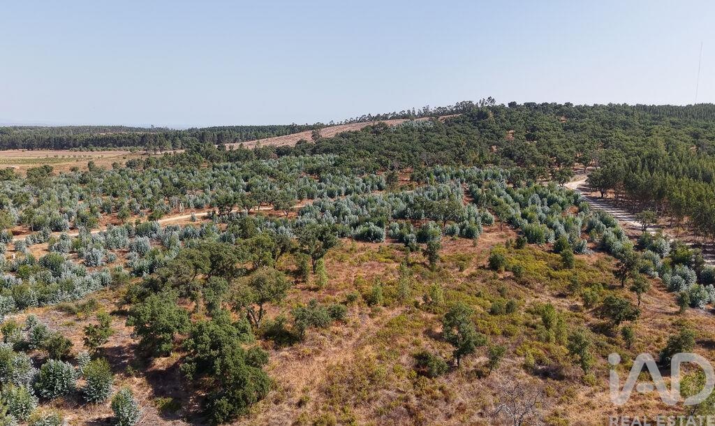 Land in Alpiarca - Image 2