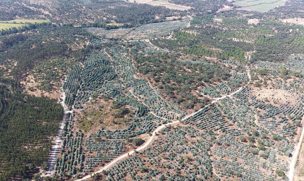 Land in Alpiarca - Image 5