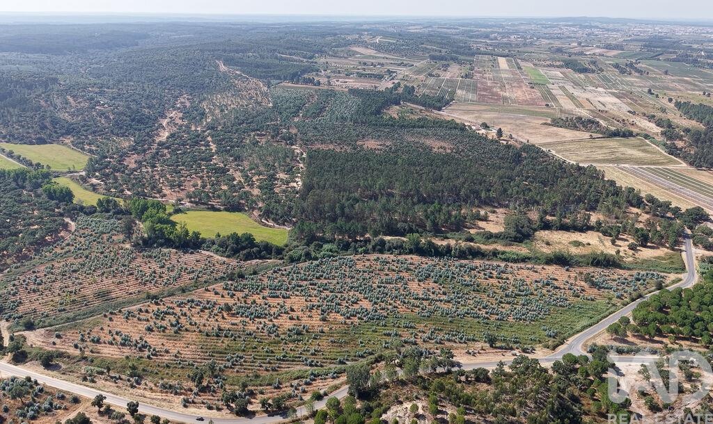 Land in Alpiarca - Image 3