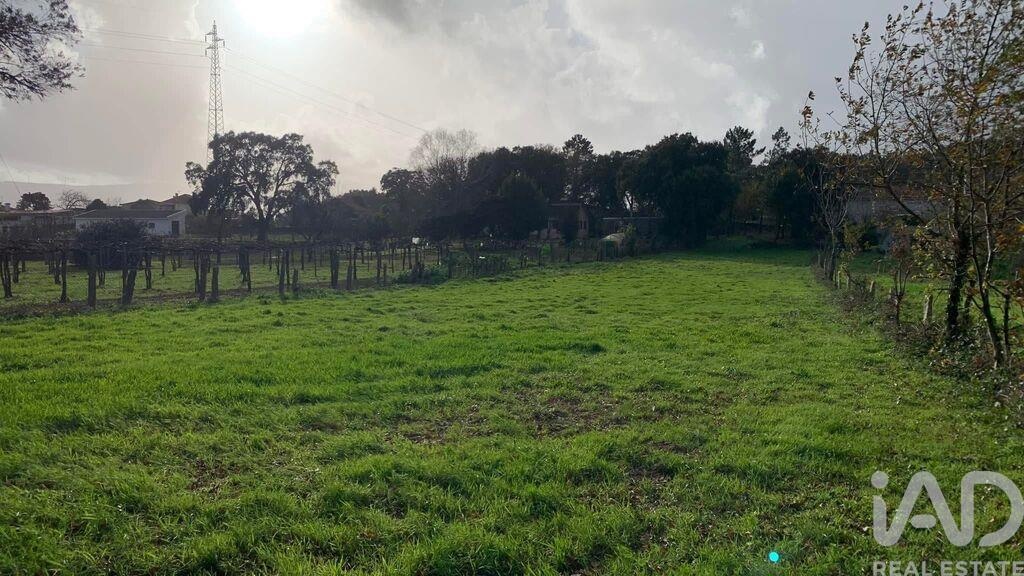 Land in Mazedo - Image 3