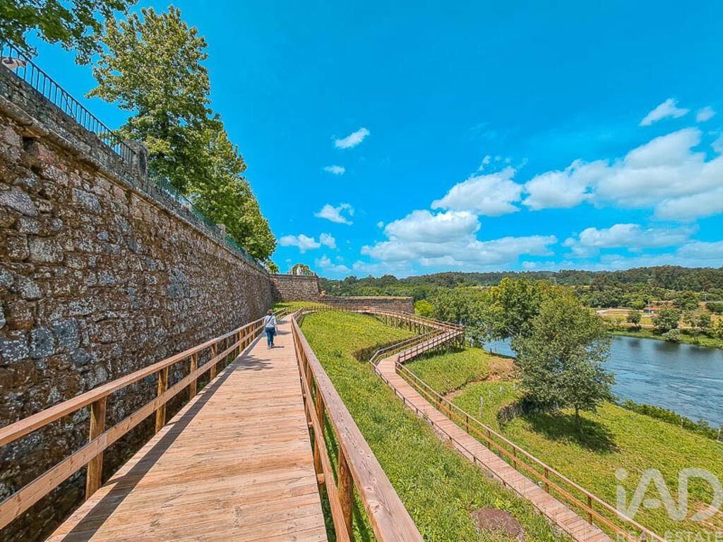 Land in Mazedo - Image 4