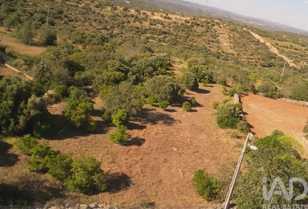 Land in Estoi - view 1