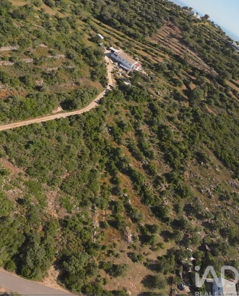 Land in Estoi - view 1