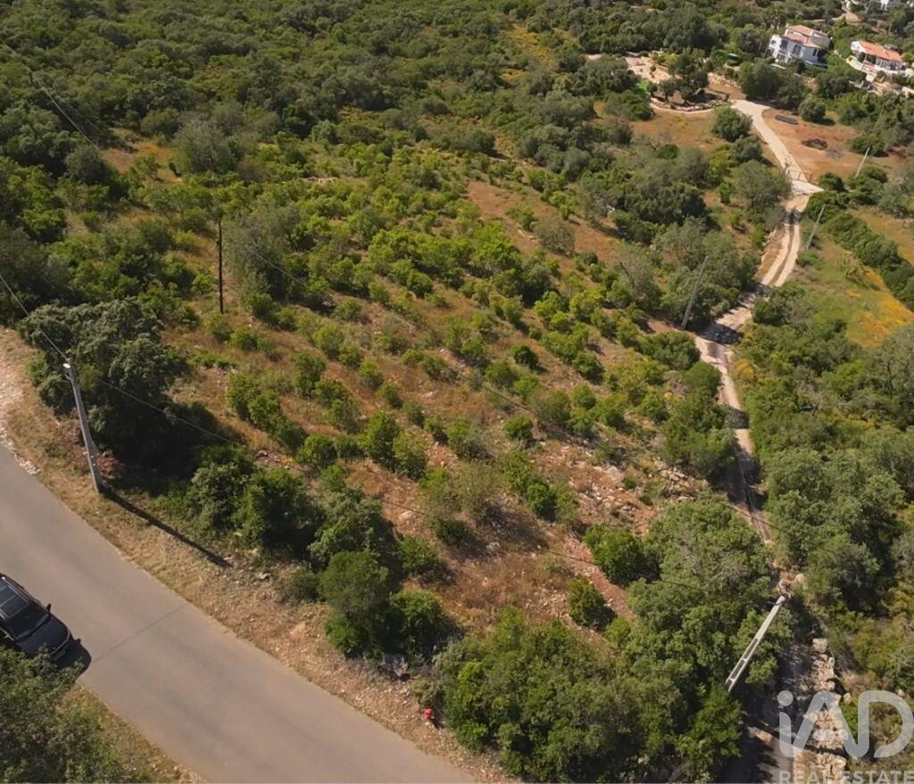 Land in Estoi - view 1