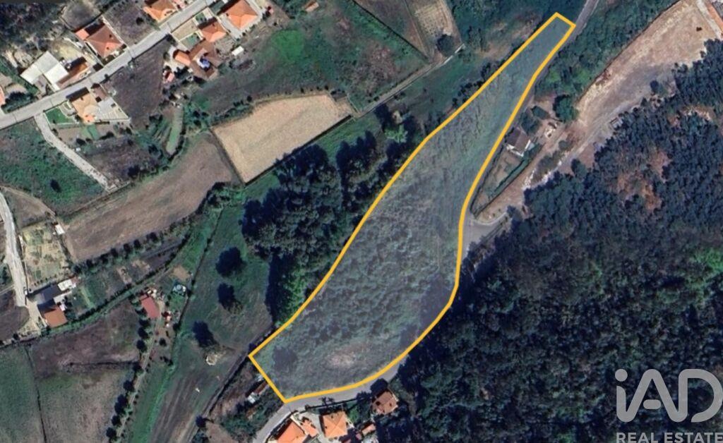 Land in Lousada - Image 2