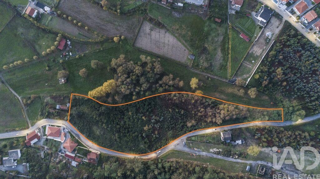 Land in Lousada - view 1