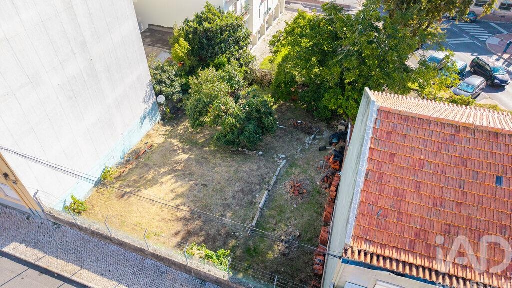 Land in Brandoa - Image 2