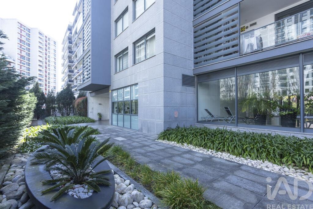 Apartment in Alvalade - Image 5