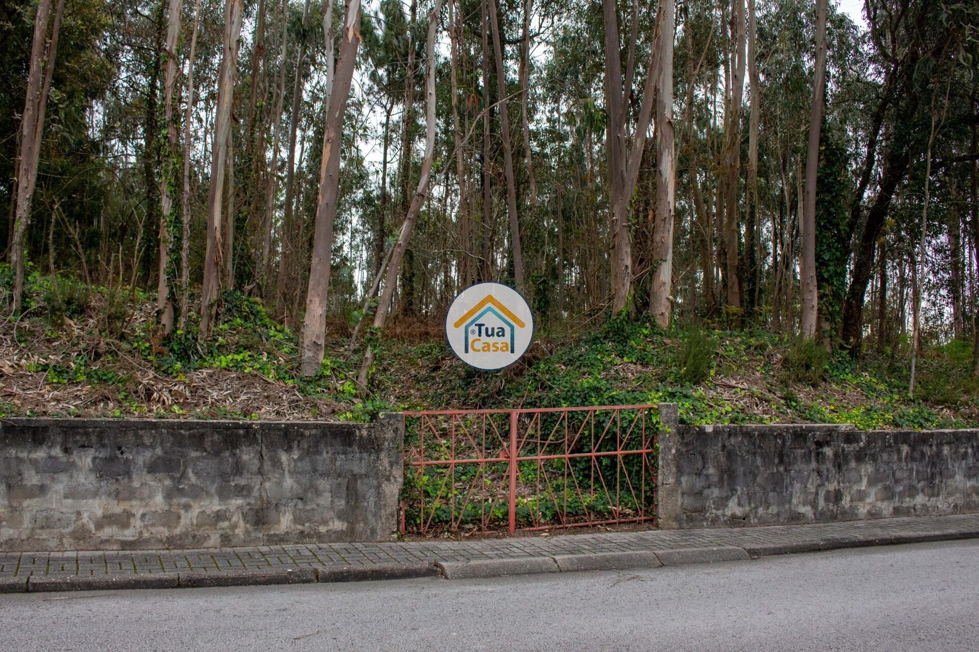 Land for sale in Santa Maria da Feira, Portugal — €360,000