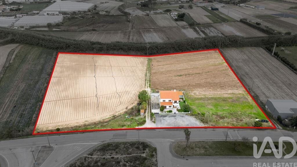 House in Atouguia da Baleia - Image 2