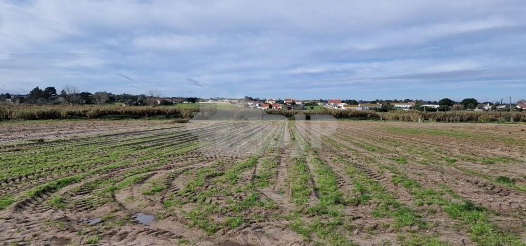 Land for sale in Palmela, Portugal — €235,000