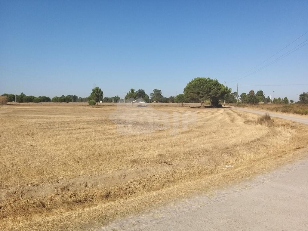 Land for sale in Palmela, Portugal — €125,000