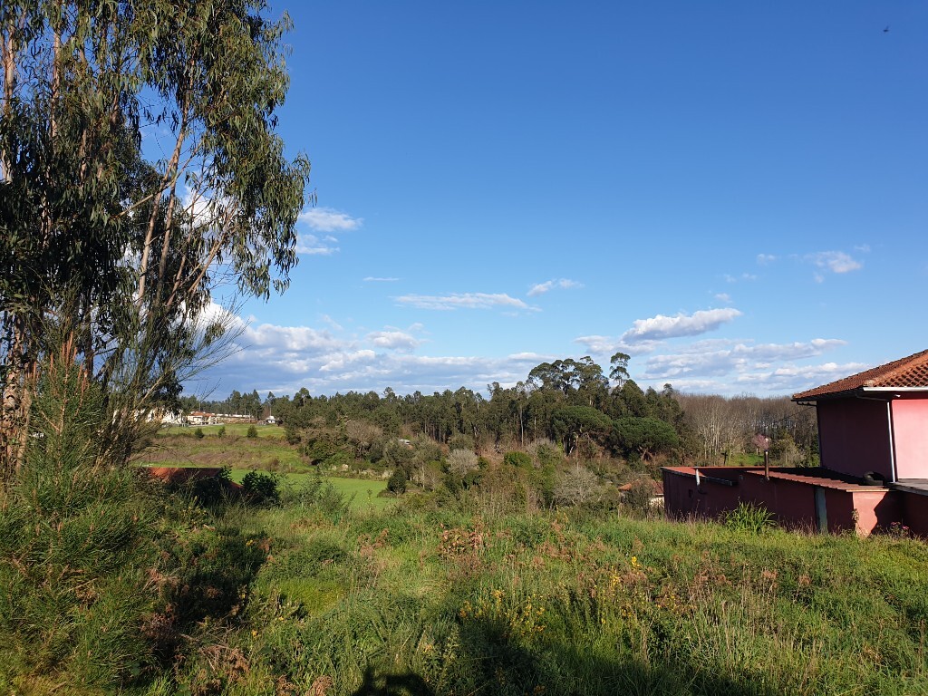 Land for sale in Barcelos, Portugal — €60,000