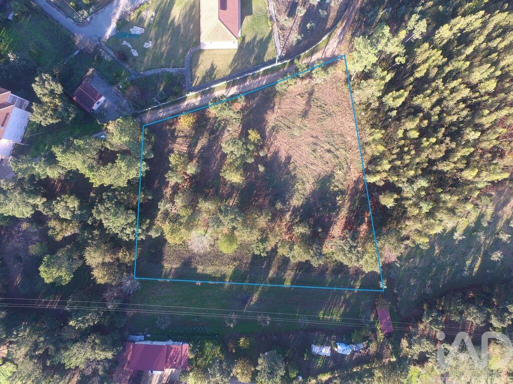 Land in Vila Nova de Poiares - Image 3