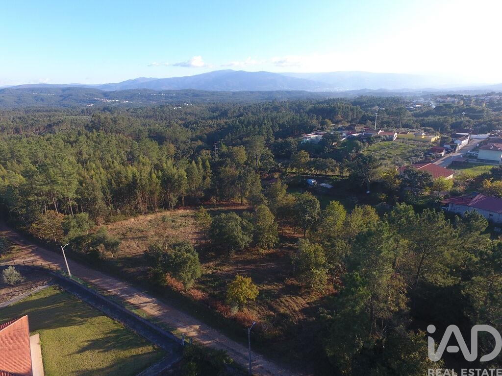 Land in Vila Nova de Poiares - Image 2