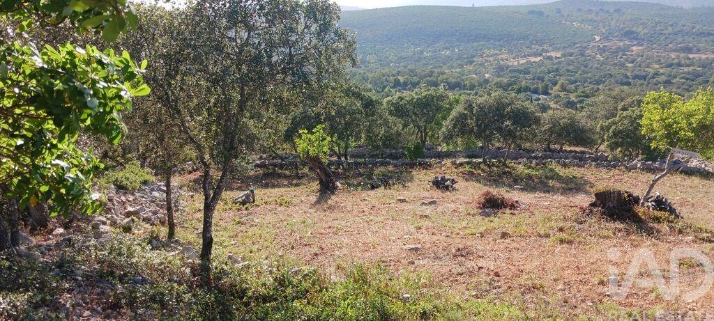 Land in Loule - view 1