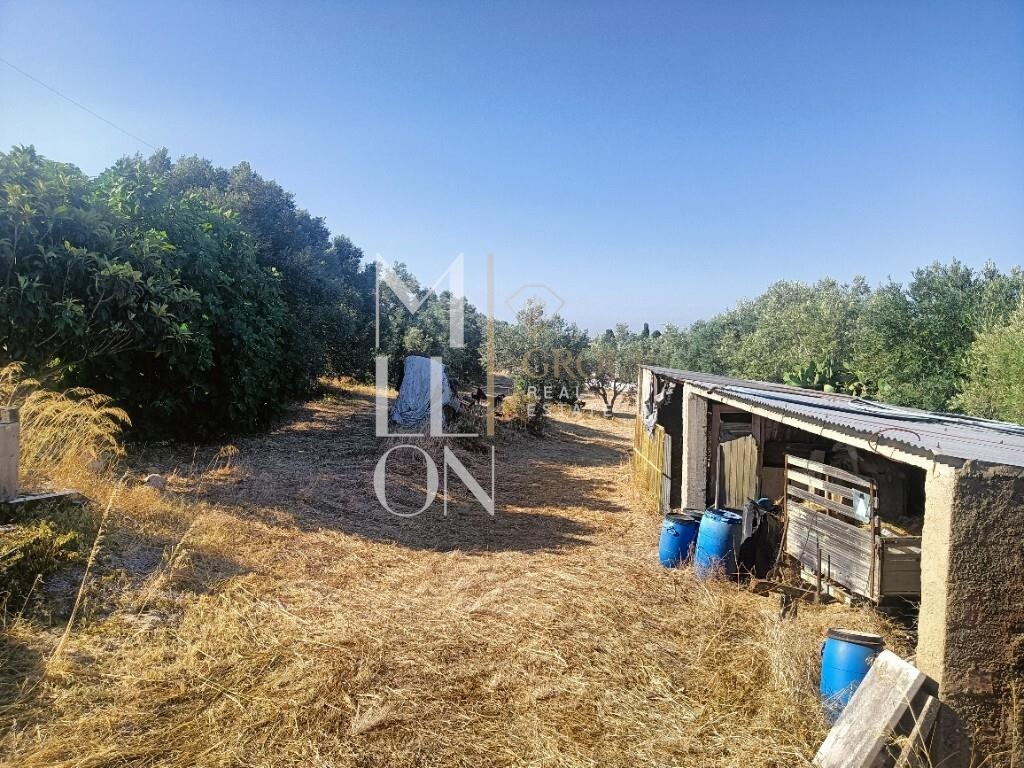 🏞️ Terrain de 7 000 m² au centre de Manique — Idéal pour équipements sociaux