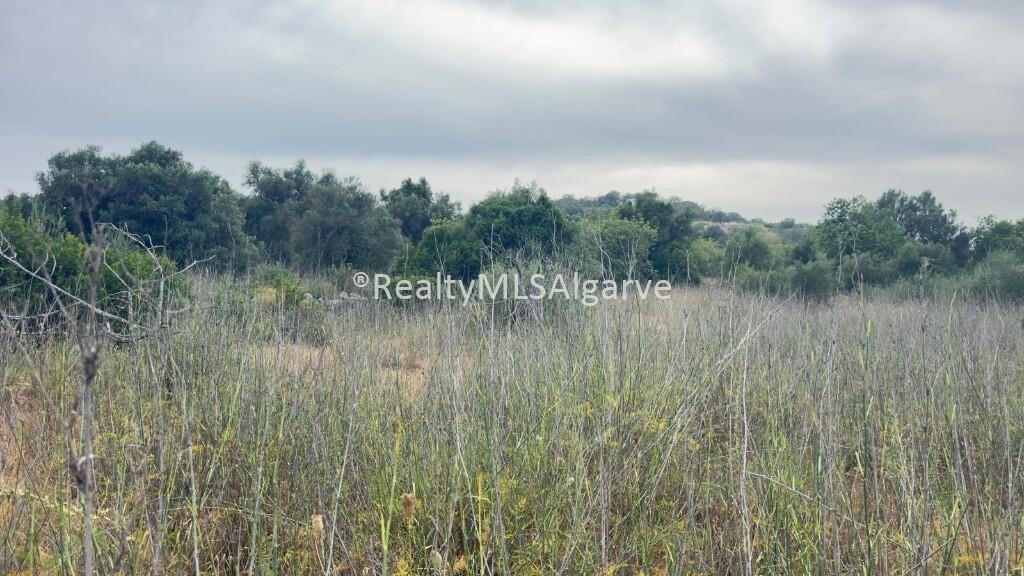 Venda Terreno de 1450m2, Vale da Boa Hora, Paragil, Loulé