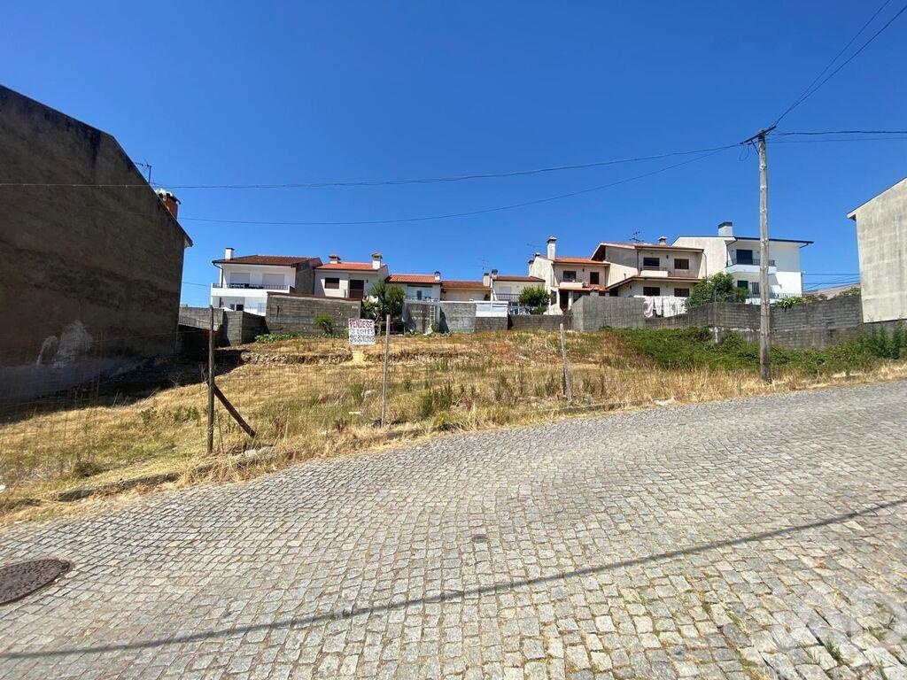 Land in Valongo - Image 5