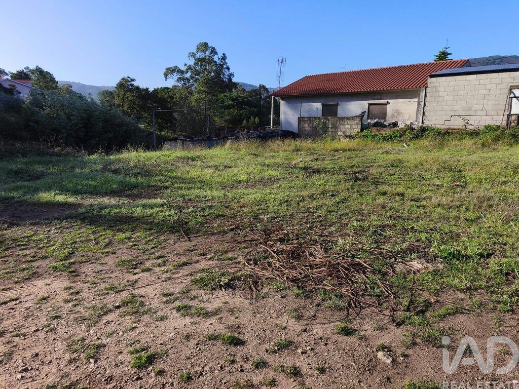 Land in Caminha - Image 4