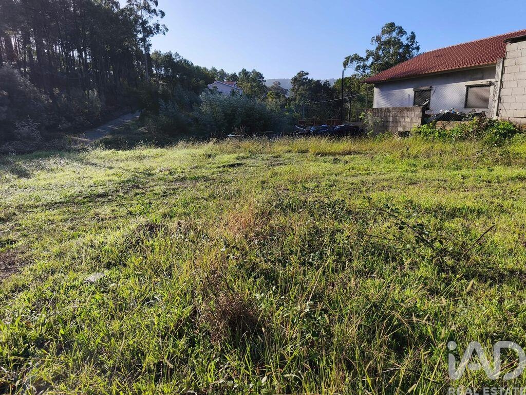 Land in Caminha - Image 2