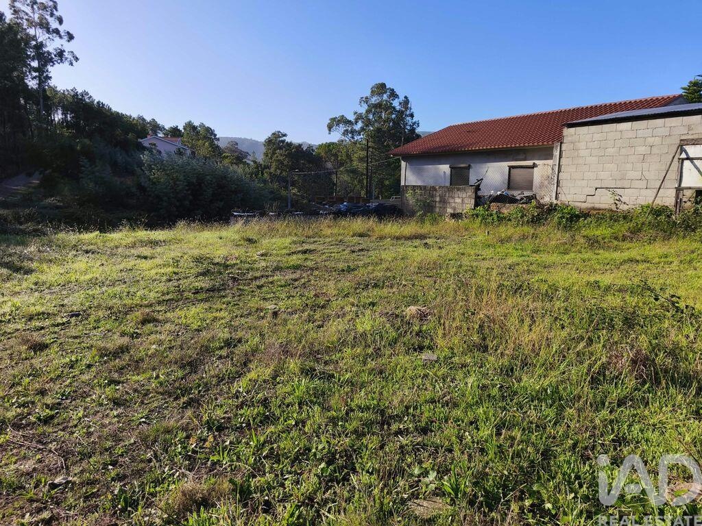 Land in Caminha - Image 3