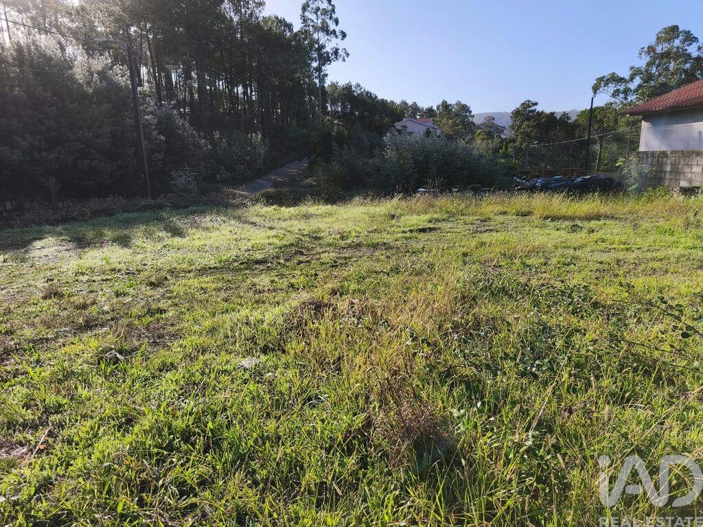 Land in Caminha - view 1
