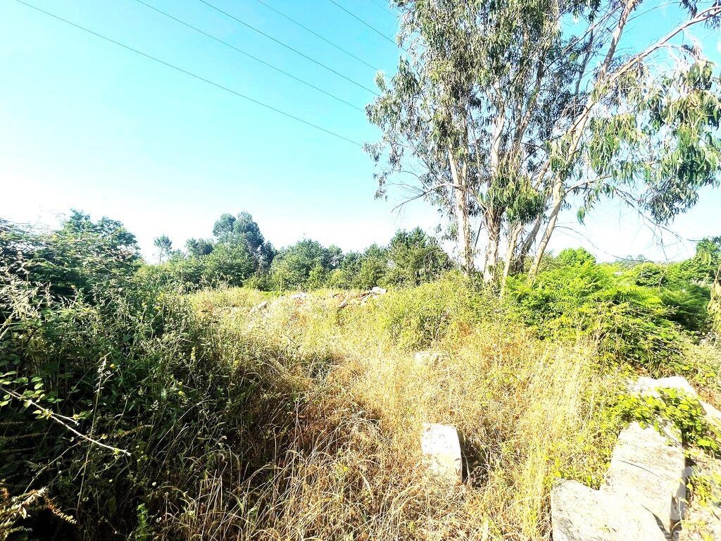 Land in Viana do Castelo - Image 5