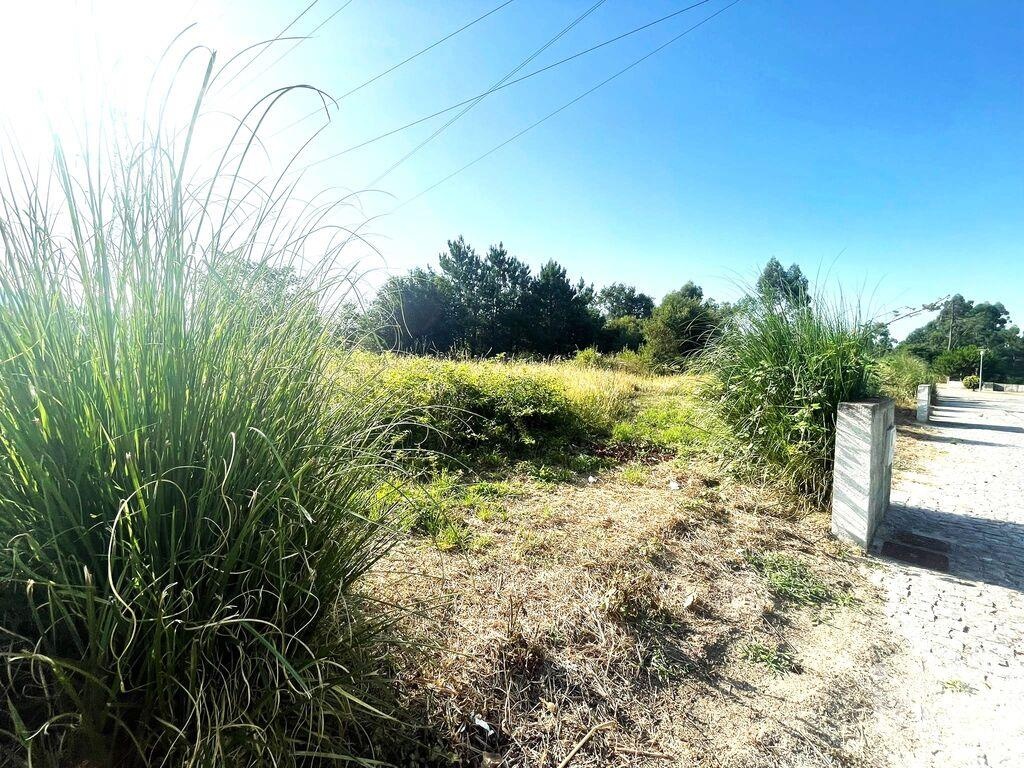 Land in Viana do Castelo - Image 4