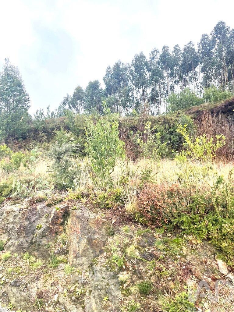 Land in Outeiro - view 1