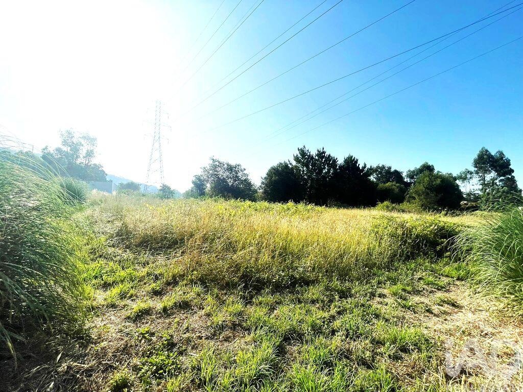 Land in Viana do Castelo - Image 2