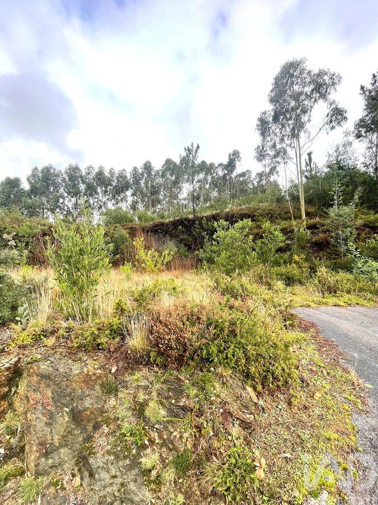 Land in Outeiro - Image 5