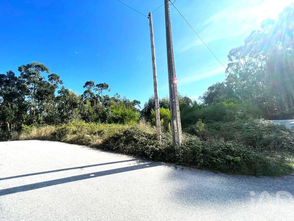 Land in Viana do Castelo - Image 5