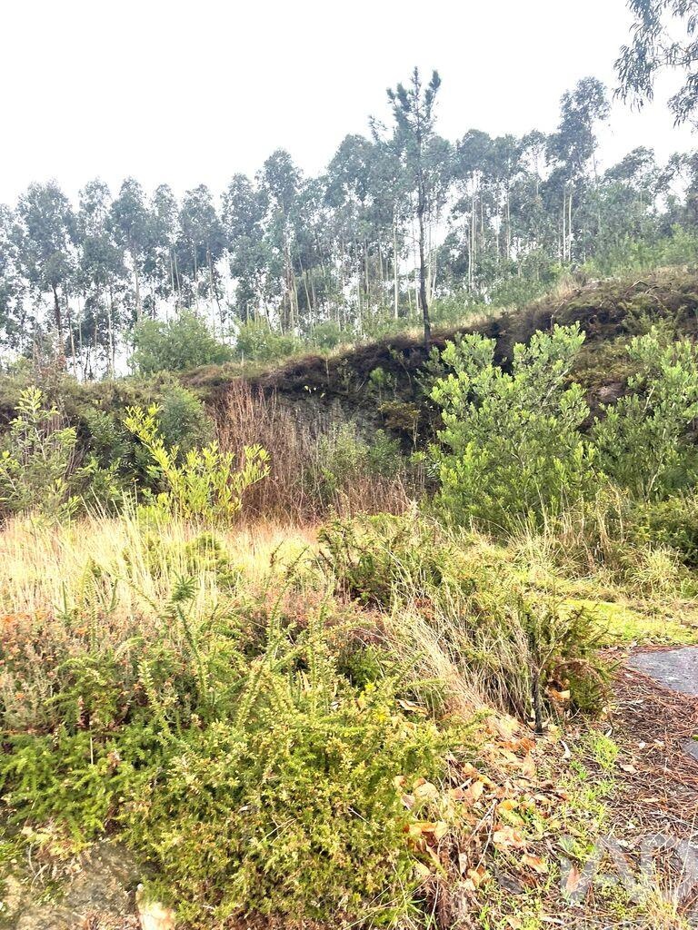 Land in Outeiro - Image 3