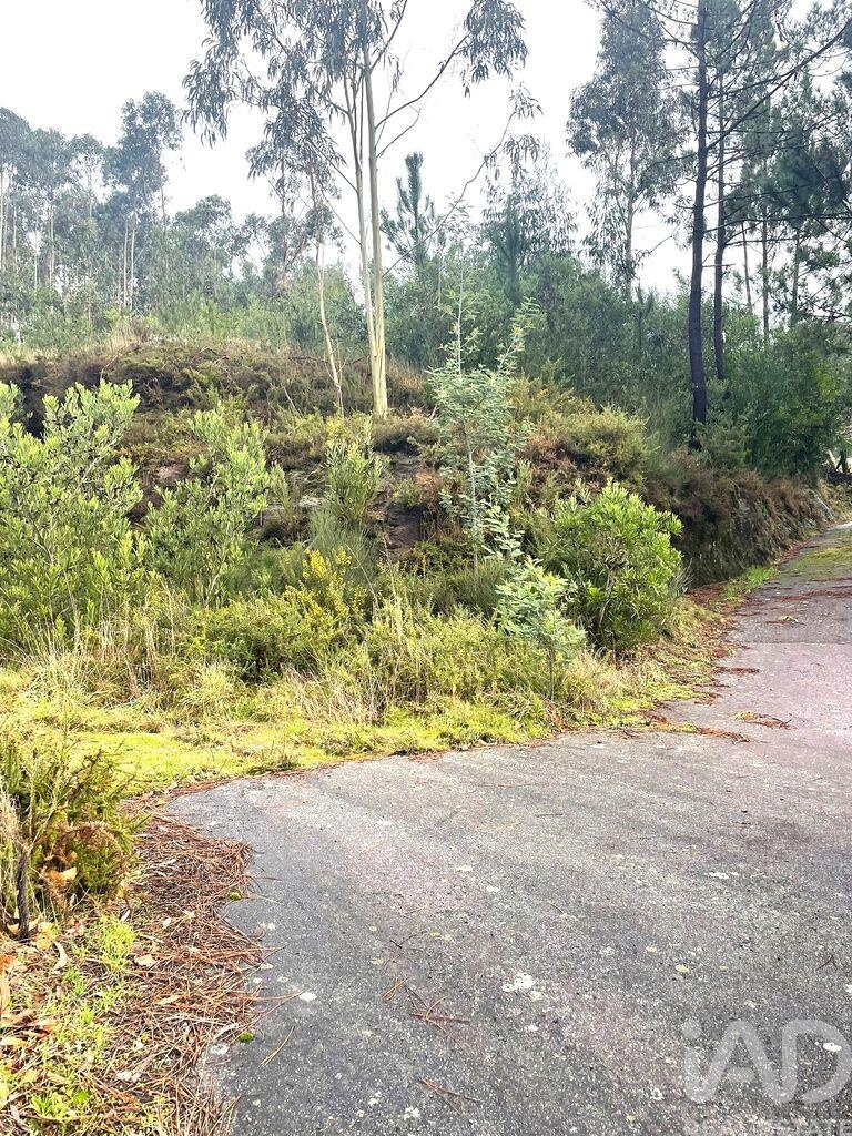 Land in Outeiro - Image 2