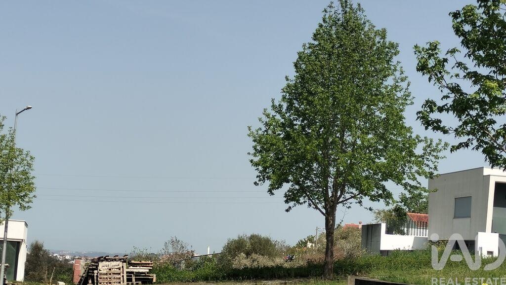 Land in Leiria - Image 5