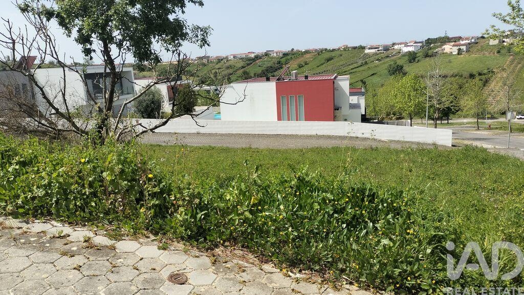 Land in Leiria - Image 5