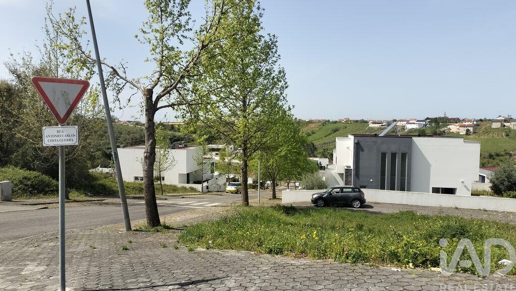 Land in Leiria - Image 5