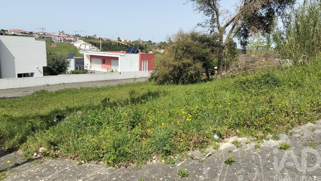 Land in Leiria - Image 4