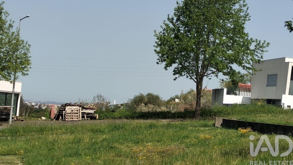 Land in Leiria - Image 4