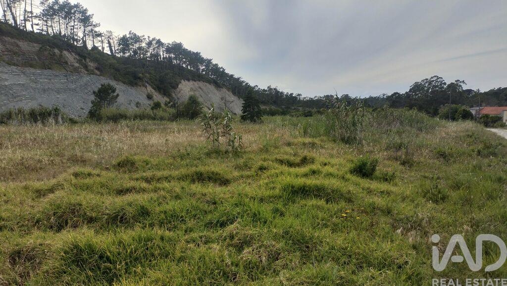 Land in Figueira da Foz - Image 3