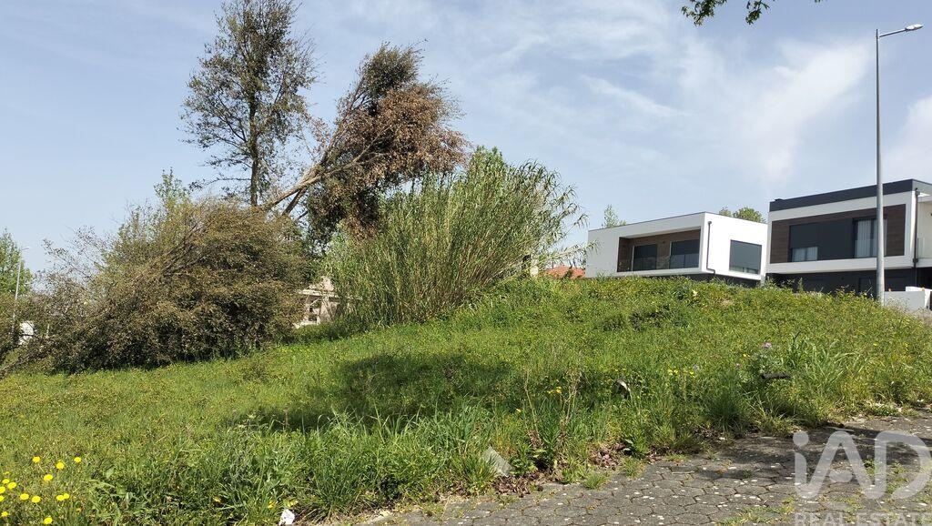 Land in Leiria - Image 3