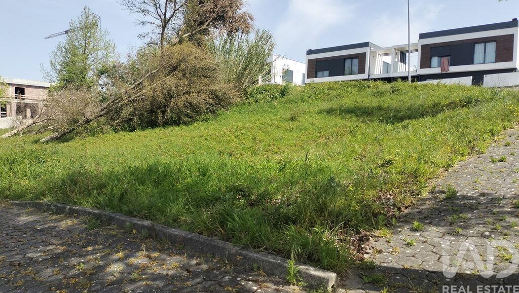 Land in Leiria - Image 4