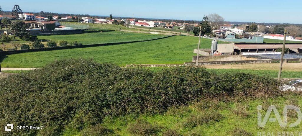 Land in Guilhabreu - Image 3