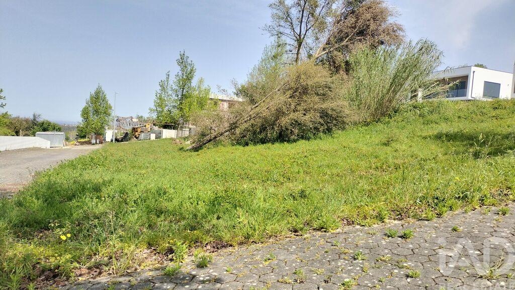 Land in Leiria - Image 5