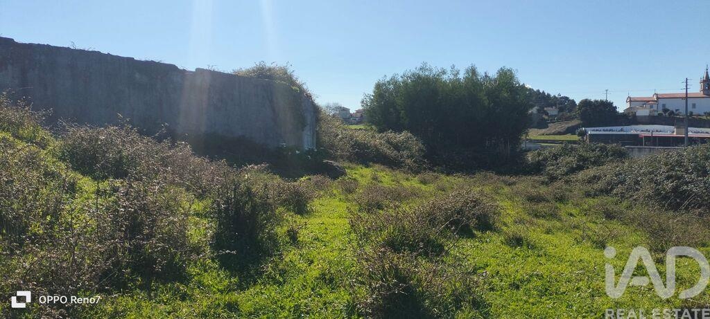 Land in Guilhabreu - Image 5