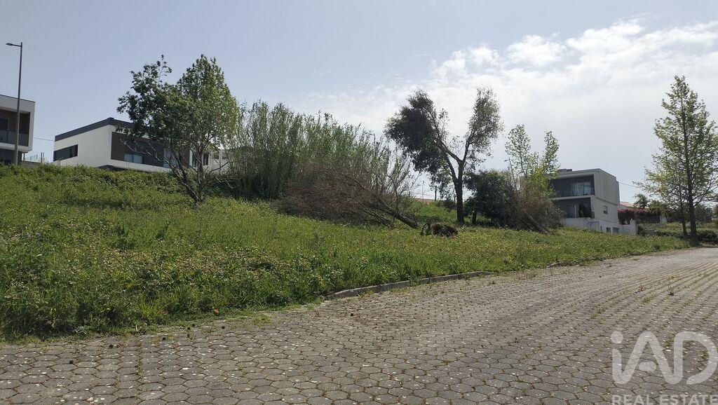 Land in Leiria - Image 4