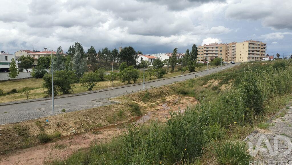 Land in Agueda - view 1