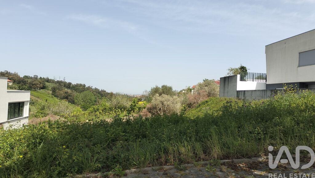 Land in Leiria - Image 3