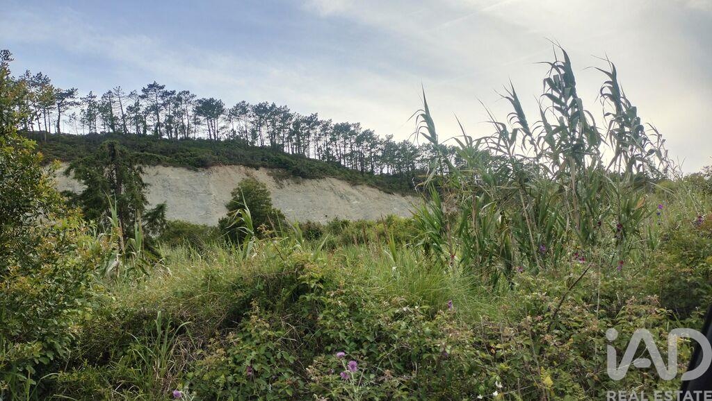 Land in Figueira da Foz - Image 2